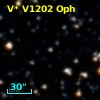 V* V1202 Oph