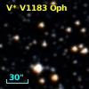 V* V1183 Oph