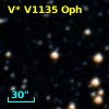 V* V1135 Oph