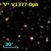 V* V1377 Oph