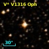 V* V1316 Oph