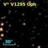 V* V1295 Oph