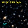 V* V1375 Oph