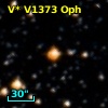 V* V1373 Oph