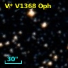 V* V1368 Oph