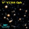 V* V1344 Oph