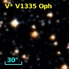 V* V1335 Oph