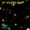 V* V1293 Oph