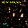 V* V1645 Oph