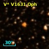 V* V1631 Oph