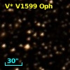 V* V1599 Oph