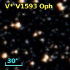 V* V1593 Oph