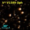 V* V1589 Oph