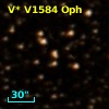 V* V1584 Oph