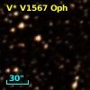 V* V1567 Oph