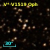 V* V1519 Oph