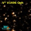 V* V1496 Oph