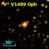 V* V1489 Oph