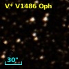 V* V1486 Oph