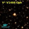 V* V1466 Oph