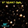 V* V1447 Oph