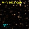 V* V1411 Oph