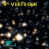 V* V1677 Oph