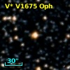 V* V1675 Oph