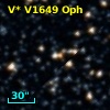 V* V1649 Oph
