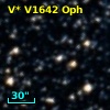 V* V1642 Oph