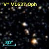 V* V1637 Oph