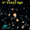 V* V1623 Oph