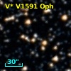 V* V1591 Oph