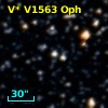 V* V1563 Oph
