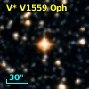 V* V1559 Oph