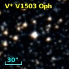 V* V1503 Oph