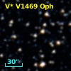 V* V1469 Oph