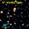 V* V1462 Oph