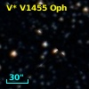 V* V1455 Oph