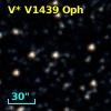 V* V1439 Oph