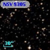 NSV  8305
