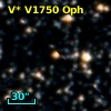 V* V1750 Oph