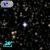 V* V441 Oph
