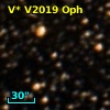 V* V2019 Oph