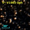 V* V1985 Oph