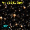V* V1981 Oph