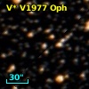 V* V1977 Oph