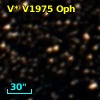 V* V1975 Oph