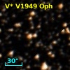 V* V1949 Oph