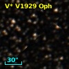 V* V1929 Oph